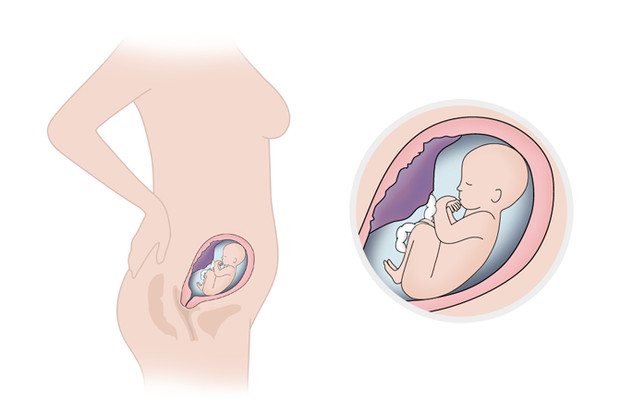 26 неделя схватки. Положение ребенка в животе перед родами. Тренировочные схватки. Как располагается ребенок в животе перед родами. Схватки у беременных.