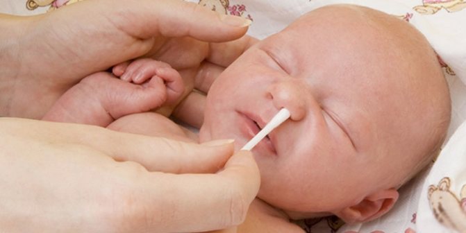 Cleaning a baby&#39;s nose with a cotton swab