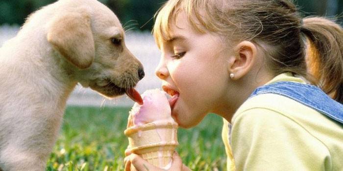 Girl and dog eating ice cream together