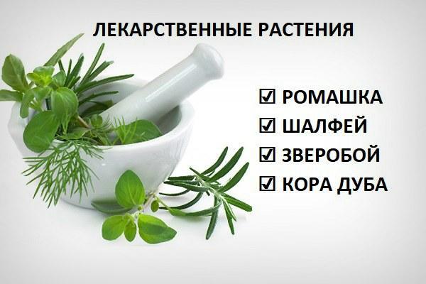 Лекарственные растения для глаз