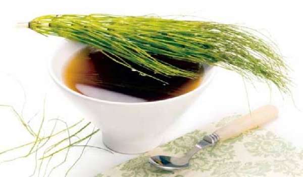 Horsetail infusion