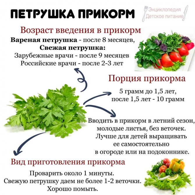 parsley complementary foods