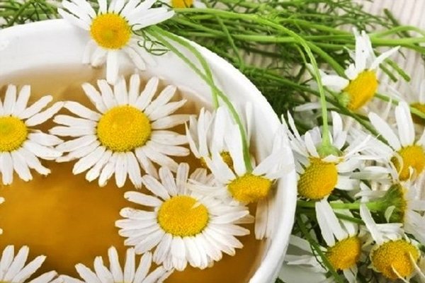 Beneficial properties of chamomile