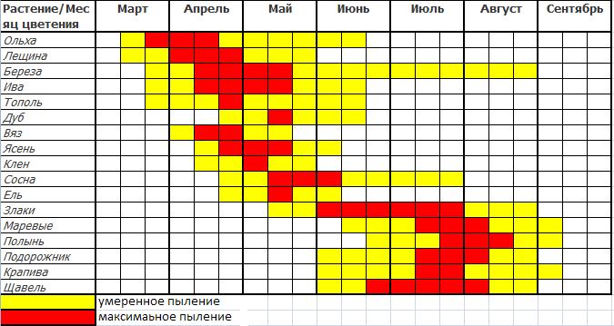 Цветение березы в москве в 2024 году. Периоды цветения для аллергиков. График цветения для аллергиков. Календарь цветения. Период цветения ольхи.